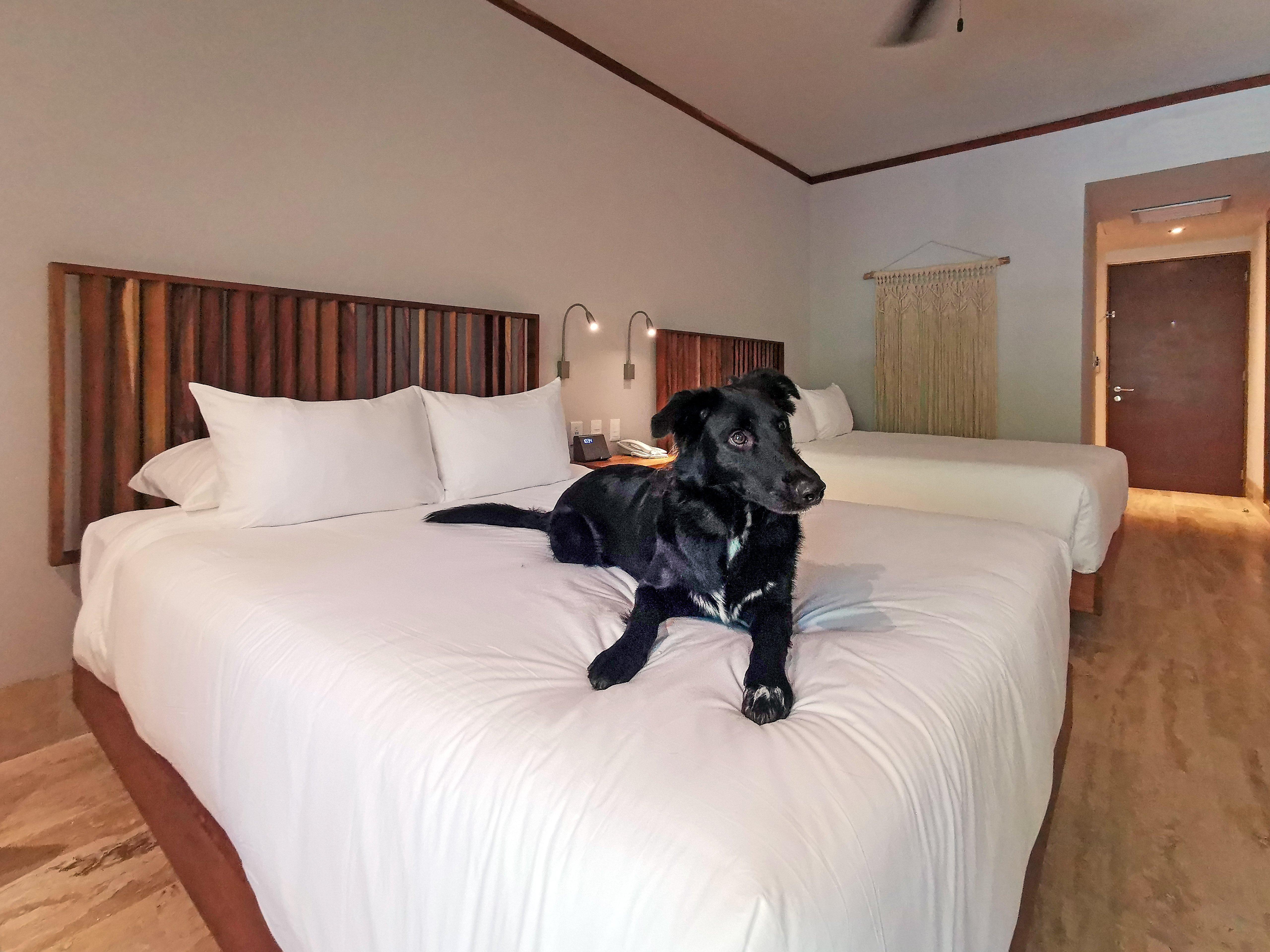 Kimpton Aluna Resort Tulum By Ihg Luaran gambar
